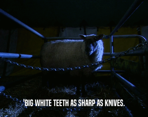 'BIG WHITE TEETH AS SHARP AS KNIVES.
  