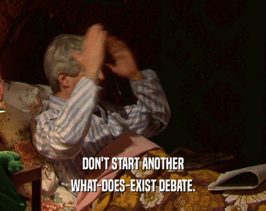 DON'T START ANOTHER WHAT-DOES-EXIST DEBATE. 