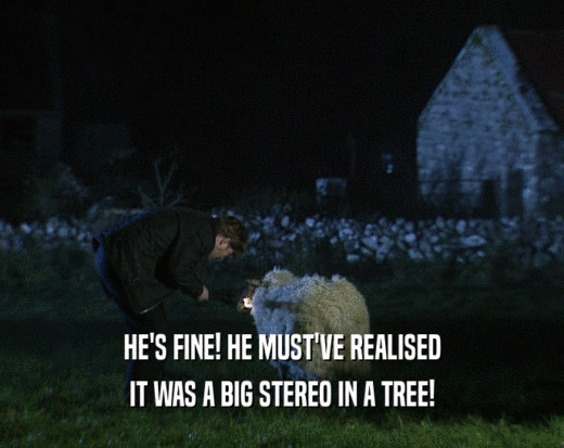 HE'S FINE! HE MUST'VE REALISED IT WAS A BIG STEREO IN A TREE! 