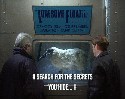 # SEARCH FOR THE SECRETS YOU HIDE... # 