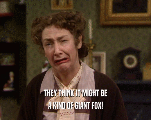 THEY THINK IT MIGHT BE A KIND OF GIANT FOX! 