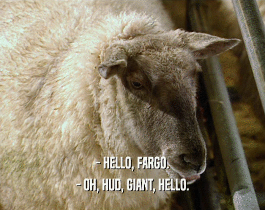 - HELLO, FARGO. - OH, HUD, GIANT, HELLO. 