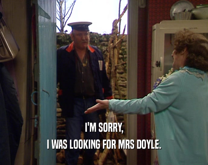 I'M SORRY,
 I WAS LOOKING FOR MRS DOYLE.
 