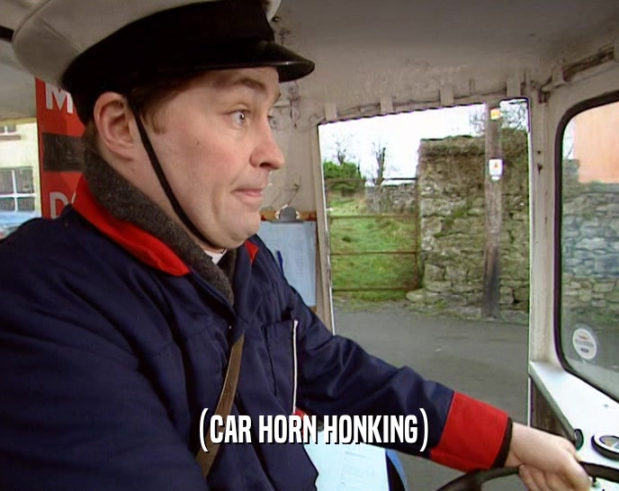 (CAR HORN HONKING)  