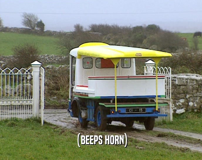 (BEEPS HORN)  