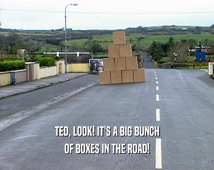 TED, LOOK! IT'S A BIG BUNCH
 OF BOXES IN THE ROAD!
 