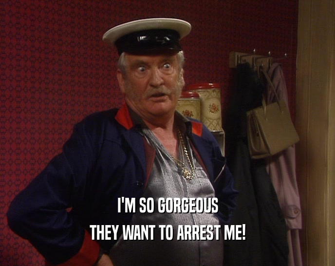 I'M SO GORGEOUS THEY WANT TO ARREST ME! 