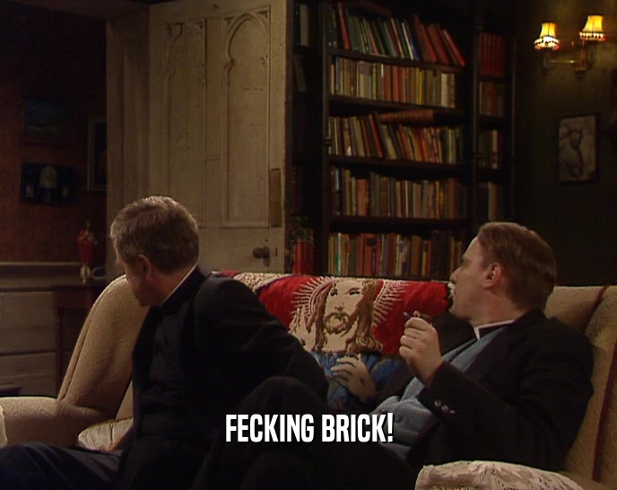 FECKING BRICK!  