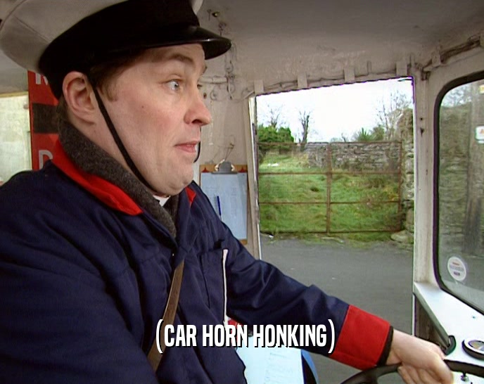 (CAR HORN HONKING)  