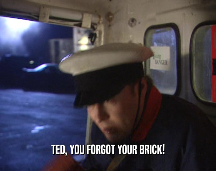 TED, YOU FORGOT YOUR BRICK!  