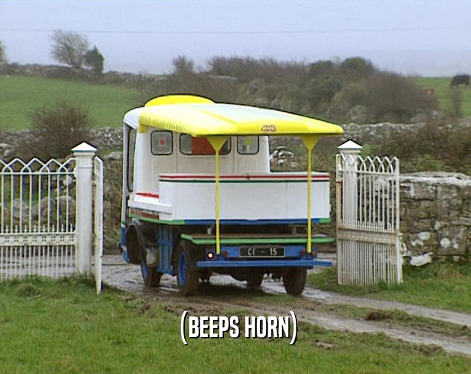 (BEEPS HORN)  
