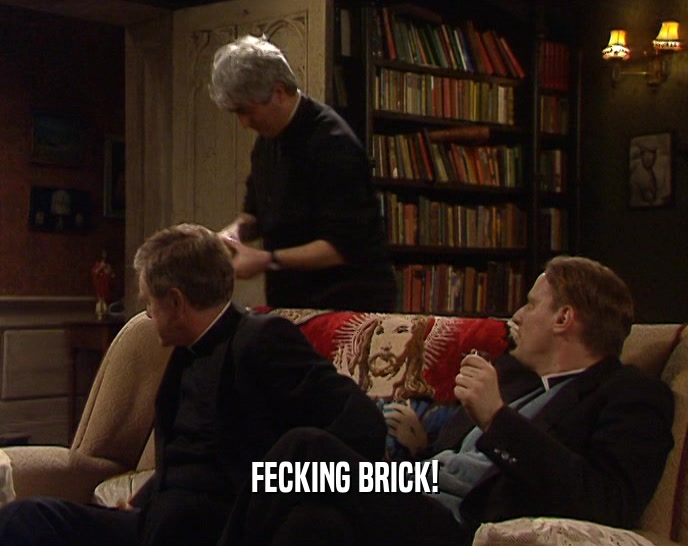 FECKING BRICK!  