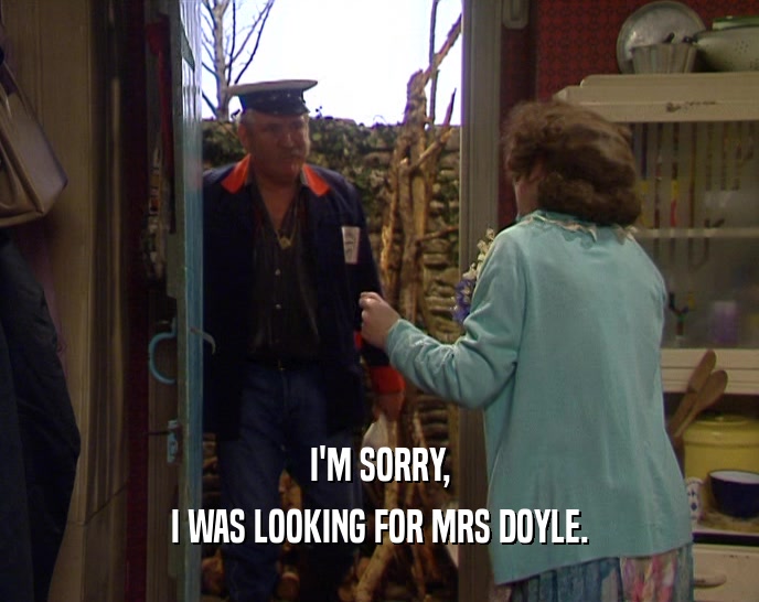 I'M SORRY,
 I WAS LOOKING FOR MRS DOYLE.
 