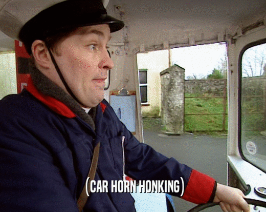 (CAR HORN HONKING)  