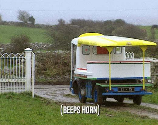 (BEEPS HORN)  