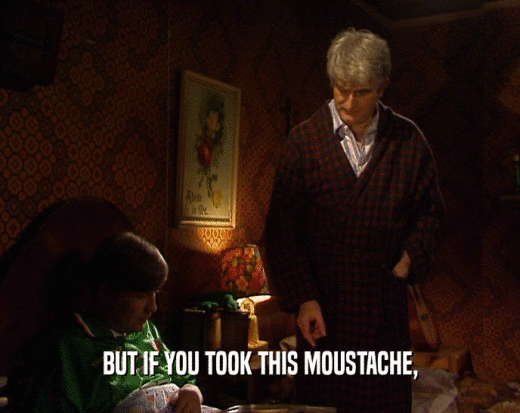 BUT IF YOU TOOK THIS MOUSTACHE,  