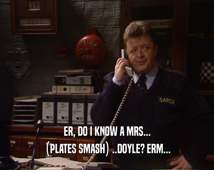 ER, DO I KNOW A MRS... (PLATES SMASH) ..DOYLE? ERM... 