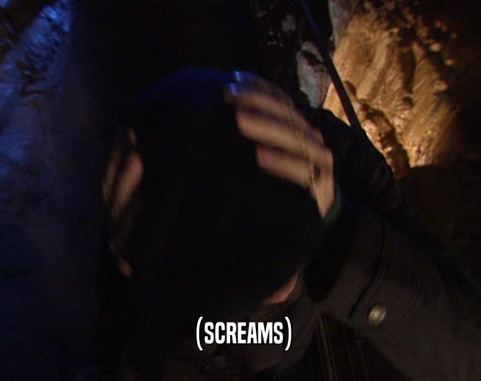 (SCREAMS)  