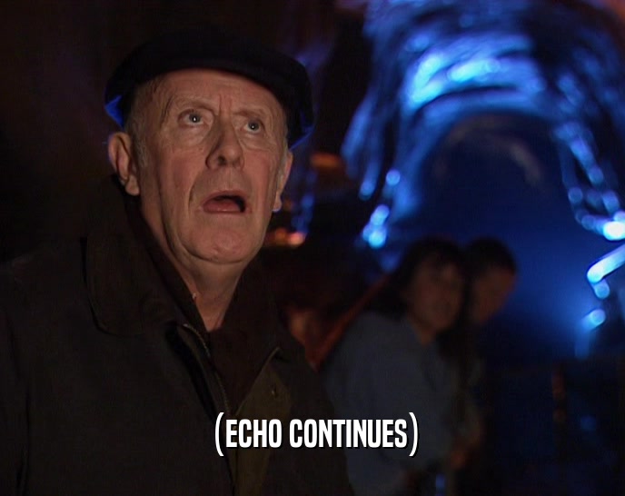 (ECHO CONTINUES)  