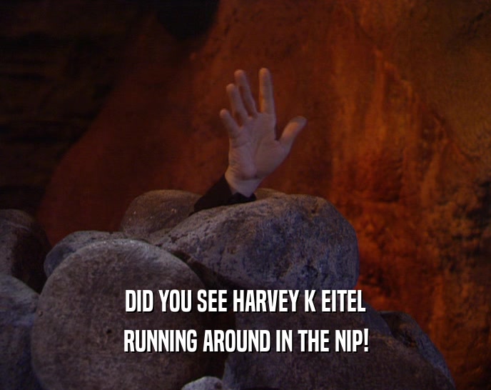 DID YOU SEE HARVEY K EITEL
 RUNNING AROUND IN THE NIP!
 