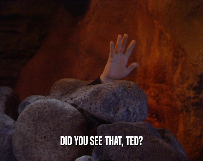 DID YOU SEE THAT, TED?
  