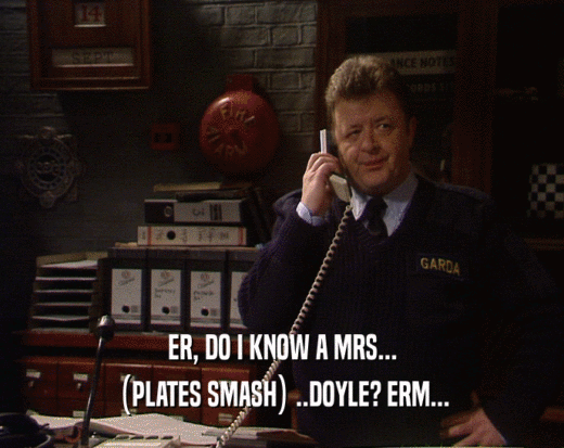 ER, DO I KNOW A MRS...
 (PLATES SMASH) ..DOYLE? ERM...
 