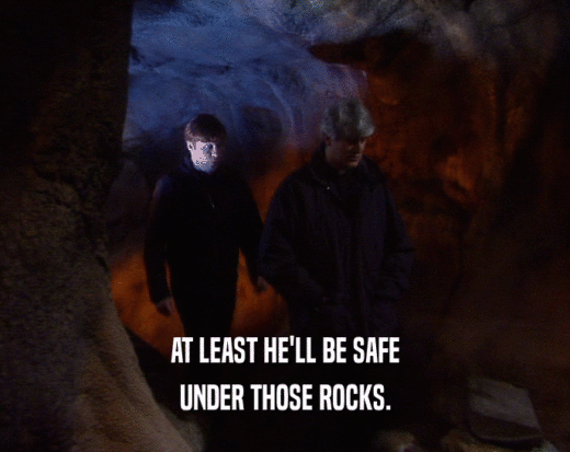 AT LEAST HE'LL BE SAFE UNDER THOSE ROCKS. 