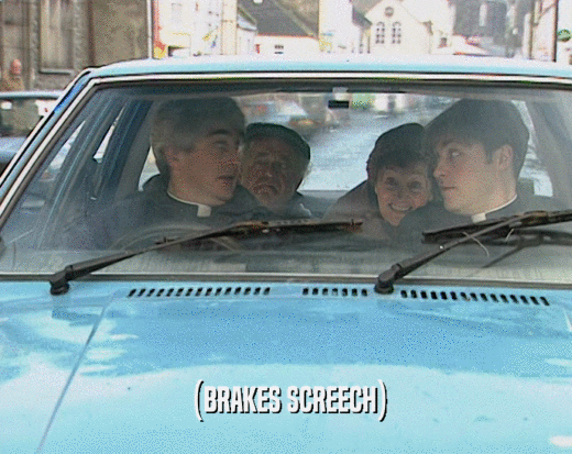 (BRAKES SCREECH)  