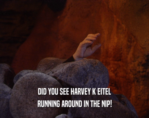DID YOU SEE HARVEY K EITEL RUNNING AROUND IN THE NIP! 