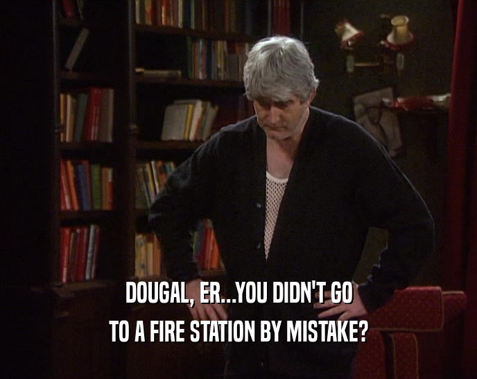 DOUGAL, ER...YOU DIDN'T GO TO A FIRE STATION BY MISTAKE? 
