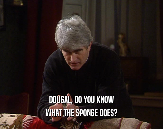 DOUGAL, DO YOU KNOW
 WHAT THE SPONGE DOES?
 