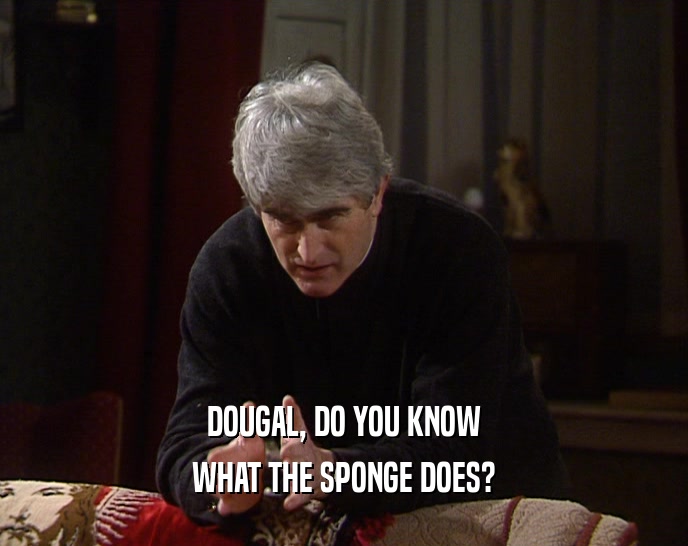 DOUGAL, DO YOU KNOW WHAT THE SPONGE DOES? 