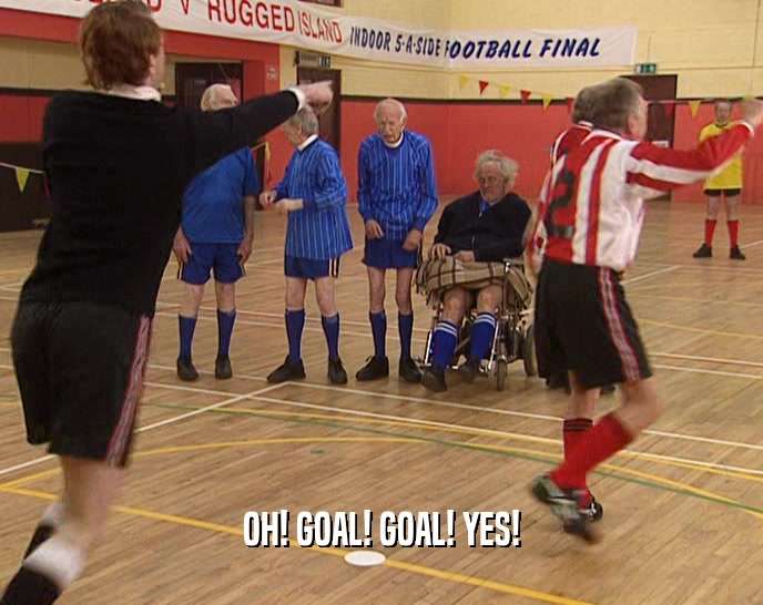 OH! GOAL! GOAL! YES!  
