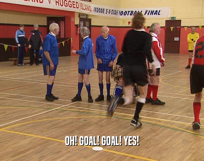 OH! GOAL! GOAL! YES!  