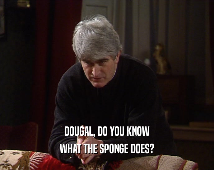 DOUGAL, DO YOU KNOW WHAT THE SPONGE DOES? 