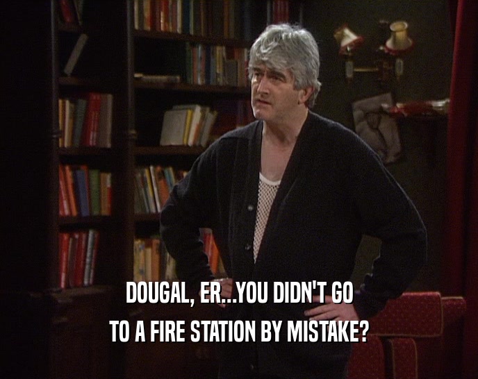 DOUGAL, ER...YOU DIDN'T GO TO A FIRE STATION BY MISTAKE? 