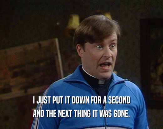 I JUST PUT IT DOWN FOR A SECOND AND THE NEXT THING IT WAS GONE. 
