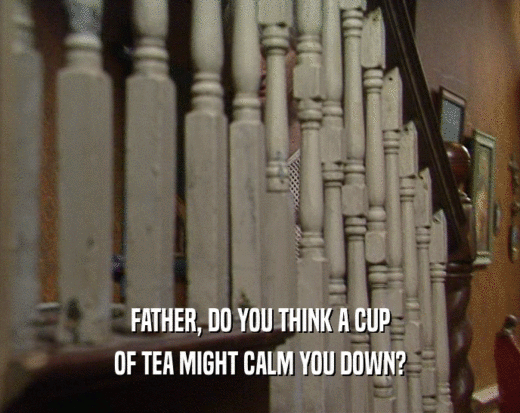 FATHER, DO YOU THINK A CUP OF TEA MIGHT CALM YOU DOWN? 