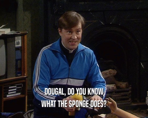 DOUGAL, DO YOU KNOW
 WHAT THE SPONGE DOES?
 