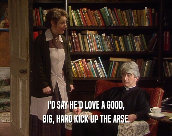 I'D SAY HE'D LOVE A GOOD, BIG, HARD KICK UP THE ARSE. 