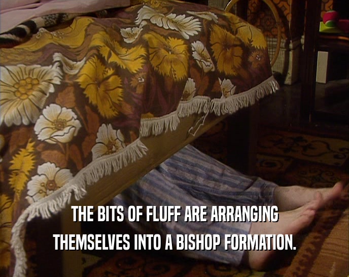 THE BITS OF FLUFF ARE ARRANGING THEMSELVES INTO A BISHOP FORMATION. 