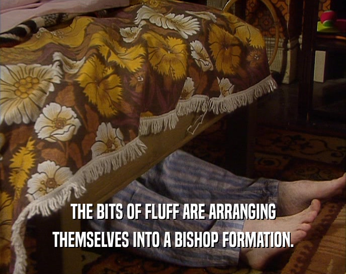 THE BITS OF FLUFF ARE ARRANGING THEMSELVES INTO A BISHOP FORMATION. 