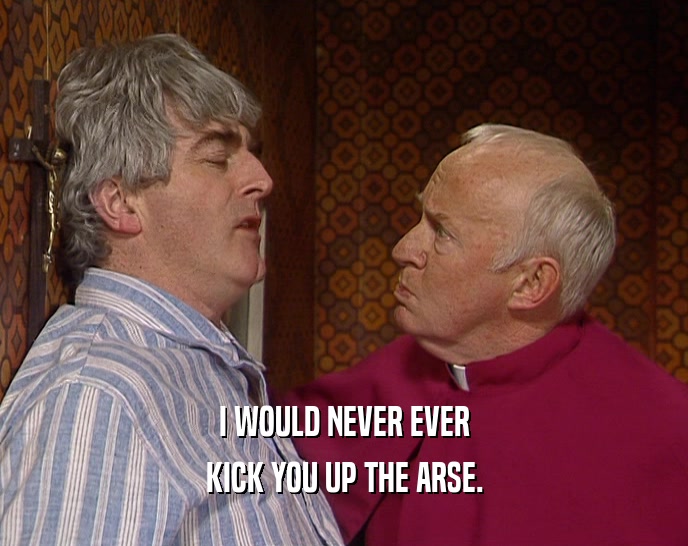 I WOULD NEVER EVER
 KICK YOU UP THE ARSE.
 