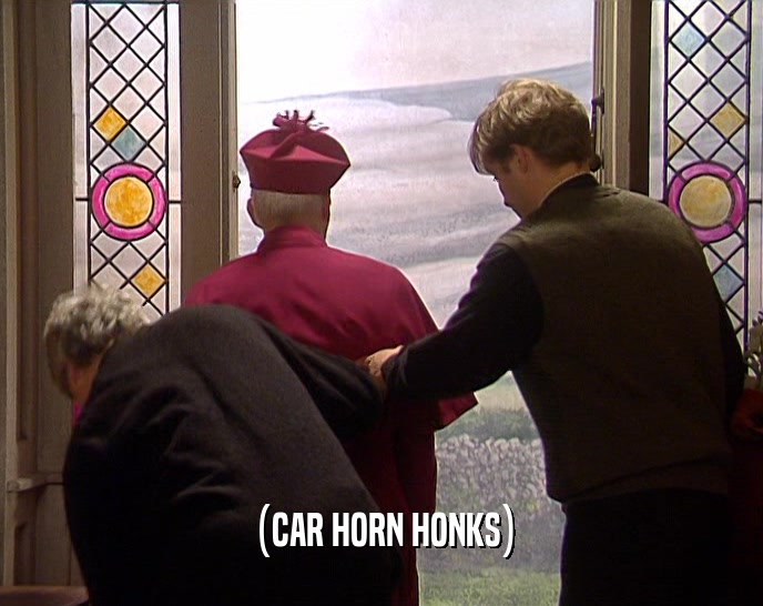 (CAR HORN HONKS)  