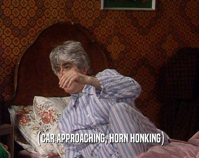 (CAR APPROACHING, HORN HONKING)  