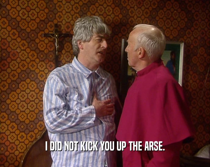 I DID NOT KICK YOU UP THE ARSE.  