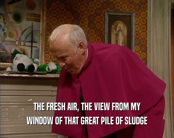 THE FRESH AIR, THE VIEW FROM MY WINDOW OF THAT GREAT PILE OF SLUDGE 