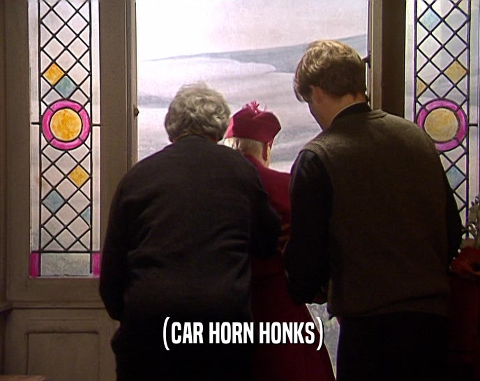 (CAR HORN HONKS)  