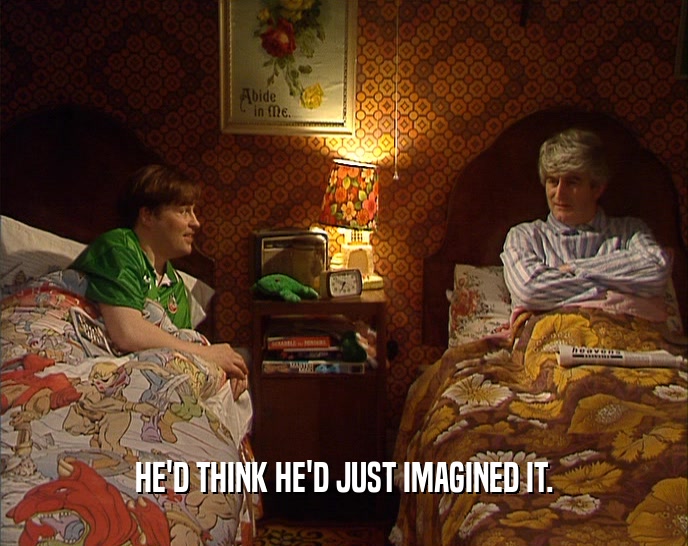 HE'D THINK HE'D JUST IMAGINED IT.  