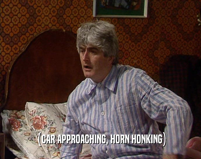 (CAR APPROACHING, HORN HONKING)  